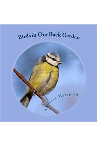 Birds in Our Back Garden