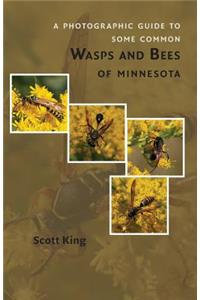 A Photographic Guide to Some Common Wasps and Bees of Minnesota