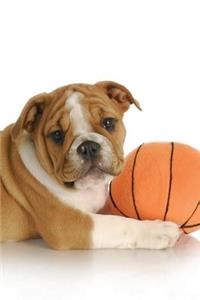 English Bulldog Autumn Notebook & Journal. Productivity Work Planner & Idea Notepad