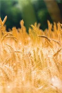 Wheat Field Journal