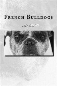 French Bulldogs Notebook
