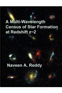 Multi-Wavelength Census of Star Formation at Redshift z 2