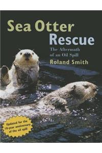 Sea Otter Rescue: The Aftermath of an Oil Spill