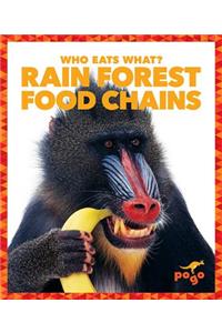 Rain Forest Food Chains