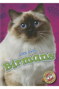 Birmans