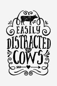 Easily Distracted By Cows