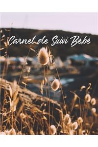 Carnet de Suivi Bébé
