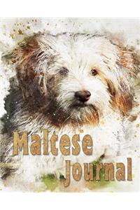 Maltese Journal