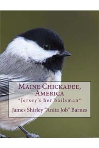 Maine Chickadee, America