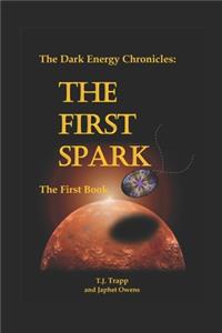 The Dark Energy Chronicles