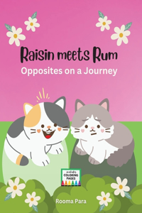 Raisin meets Rum