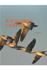 Bird Migration Notebook