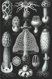 Haeckel Scientific Biological Art Notebook