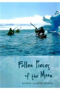 Fallen Pieces of the Moon