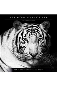 Tiger, the Magnificent, the Browntrout Portrait Series 2021 Square