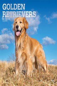 Golden Retrievers 2022 Square