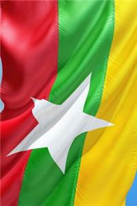 International Flag of Myanmar Journal