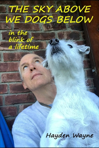 Sky Above We Dogs Below-In the Blink of a Lifetime