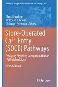 Store-Operated Ca²⁺ Entry (SOCE) Pathways