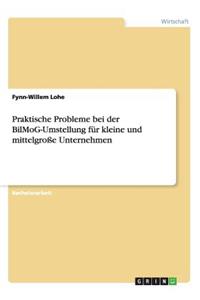 Praktische Probleme bei der BilMoG-Umstellung für kleine und mittelgroße Unternehmen