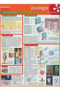 Lerntafel: Zoologie Im Überblick