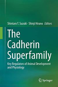 Cadherin Superfamily: Key Regulators of Animal Development and Physiology