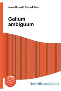 Galium Ambiguum