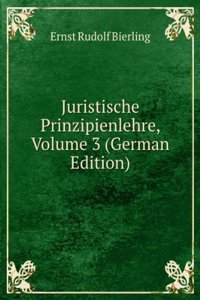 Juristische Prinzipienlehre, Volume 3 (German Edition)