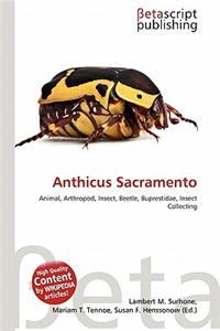 Anthicus Sacramento
