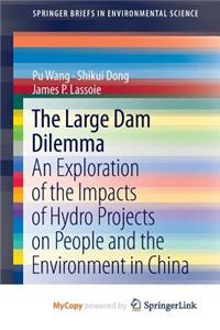 The Large Dam Dilemma