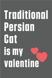 Traditional Persian Cat is my valentine
