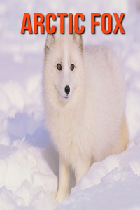 Arctic fox: Learn About Arctic fox and Enjoy Colorful Pictures