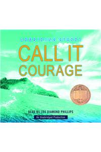 Call It Courage