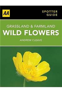 Wild Flowers