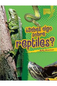 ¿sabes Algo Sobre Reptiles? (Do You Know about Reptiles?)