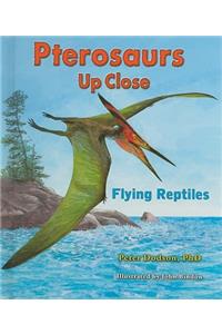 Pterosaurs Up Close