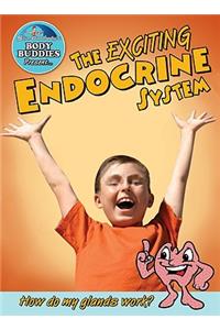 The Exciting Endocrine System