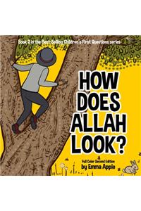 How Does Allah Look?