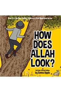 How Does Allah Look?