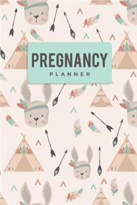Pregnancy Planner