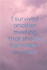 I survived another meeting that should have been an email