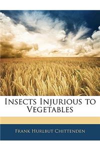 Insects Injurious to Vegetables