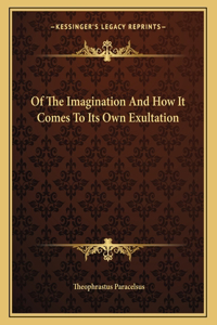 Of the Imagination and How It Comes to Its Own Exultation