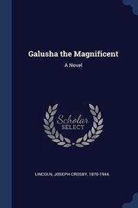 GALUSHA THE MAGNIFICENT: A NOVEL