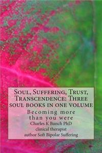 Soul, Suffering, Trust, Transcendence