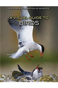 A Visual Guide to Birds