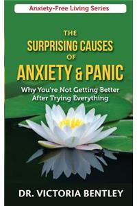 The Surprising Causes of Anxiety & Panic