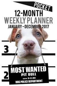 2017 Pocket Weekly Planner - Most Wanted Pit Bull