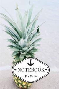 Pineapple Notebook / Journal: Pocket Notebook / Journal / Diary - Dot-grid, Graph, Lined, Blank No Lined: 1