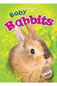 Baby Rabbits